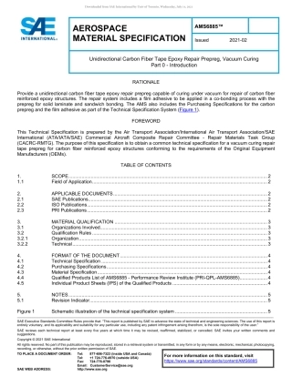 SAE AMS 6885-2021.pdf