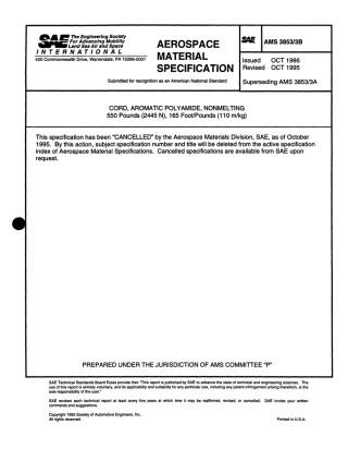 SAE AMS 3853-3B-1995 scan.pdf