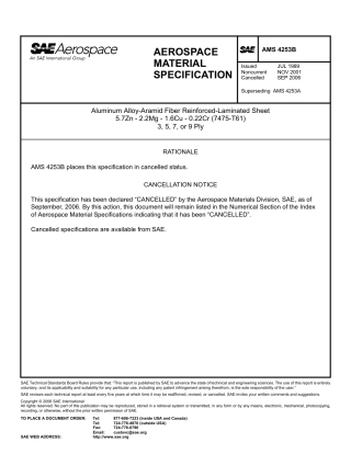 SAE AMS 4253B-2006.pdf