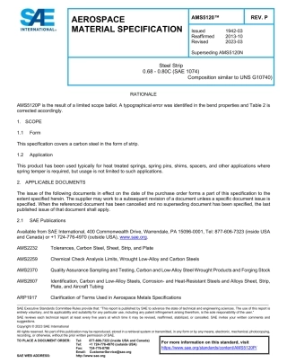 SAE AMS 5120P-2023.pdf