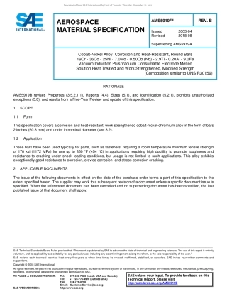 SAE AMS 5919B-2018.pdf