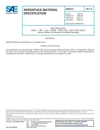 SAE AMS 6473B-2006.pdf