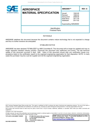 SAE AMS 2800E-2017.pdf