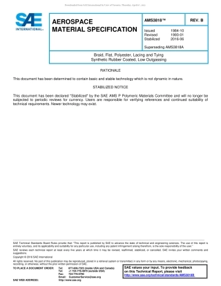 SAE AMS 3818B-2016.pdf