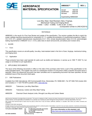 SAE AMS 6302L-2023.pdf