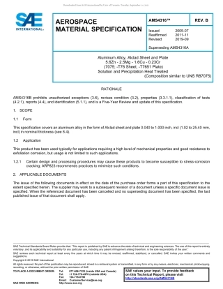 SAE AMS 4316B-2019.pdf