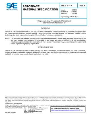 SAE AMS-M-3171A-2022.pdf