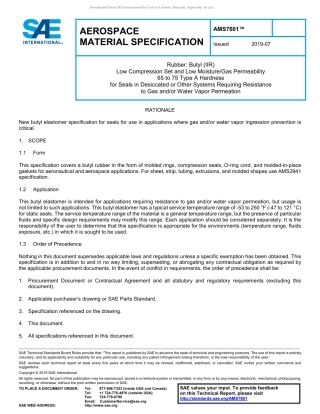 SAE AMS 7601-2019.pdf
