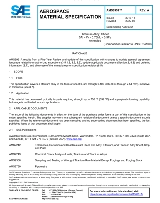 SAE AMS 6951A-2022.pdf