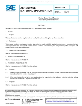 SAE AMS 2451-14-2022.pdf