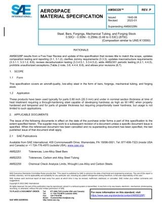 SAE AMS 6328P-2023.pdf