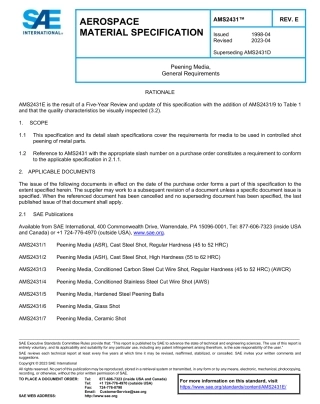 SAE AMS 2431E-2023.pdf