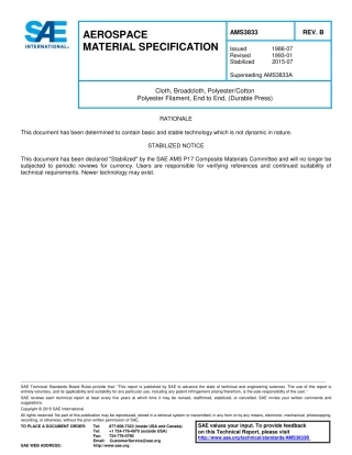 SAE AMS 3833B-2015.pdf