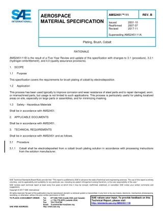 SAE AMS 2451-11B-2017.pdf