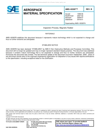 SAE AMS-I-83387B-2016.pdf