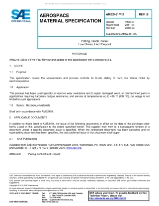 SAE AMS 2451-2B-2018.pdf