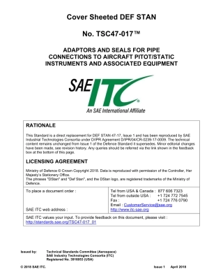 SAE TSC 47-017-01-2018.pdf