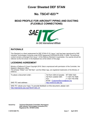 SAE TSC 47-023-01-2018.pdf