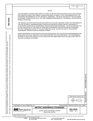 SAE MA 14242-2004.pdf