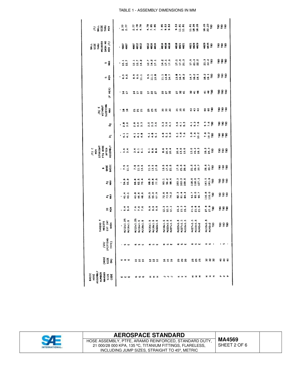 SAE MA 4569-2015.pdf_第2页
