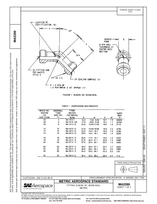 SAE MA 2289-2007.pdf