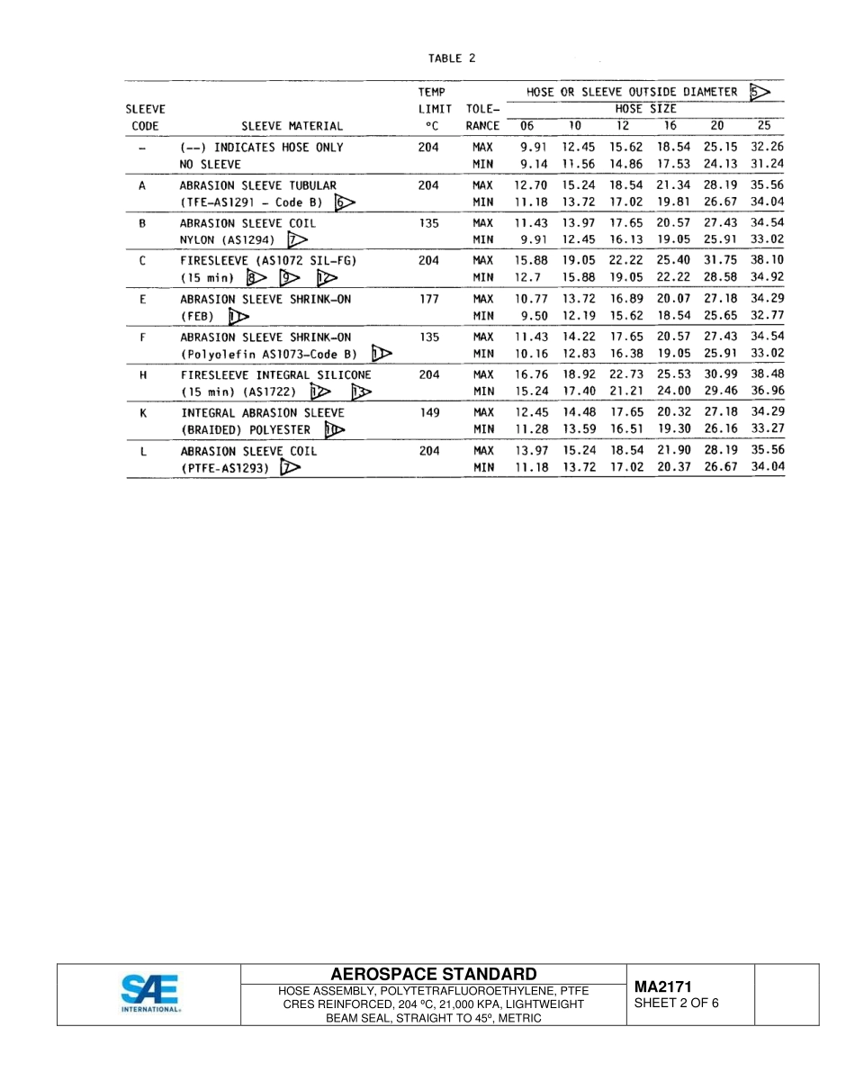 SAE MA 2171-2015.pdf_第2页
