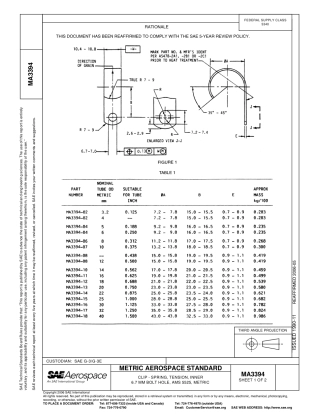 SAE MA 3394-2006.pdf