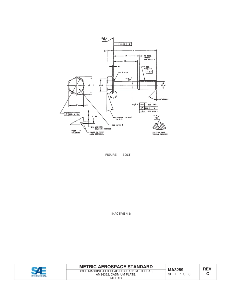 SAE MA 3289C-2014.pdf_第2页
