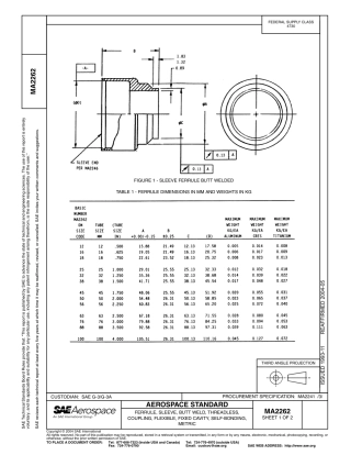SAE MA 2262-2004.pdf