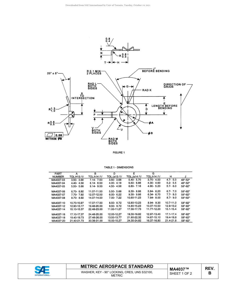 SAE MA 4037B-2019.pdf_第2页