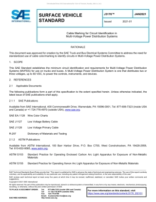 SAE J3176-2021.pdf