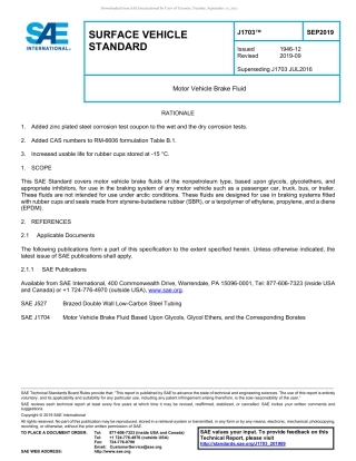 SAE J1703-2019.pdf