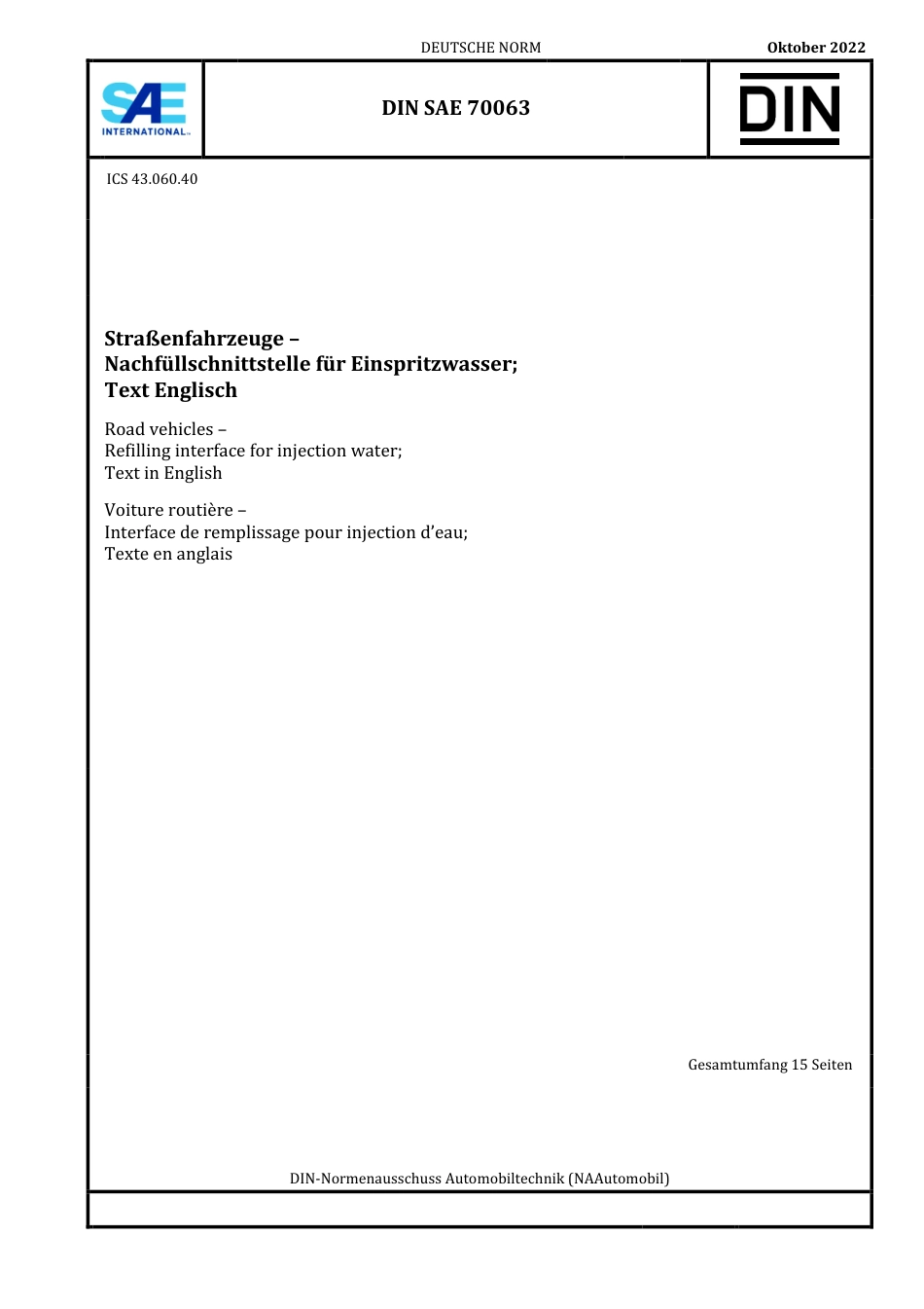 DIN SAE 70063 2022-10.pdf_第1页