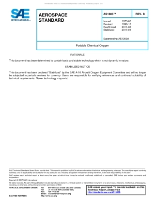 SAE AS1303B-2017.pdf