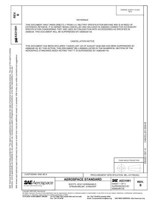 SAE AS31091a-2008.pdf
