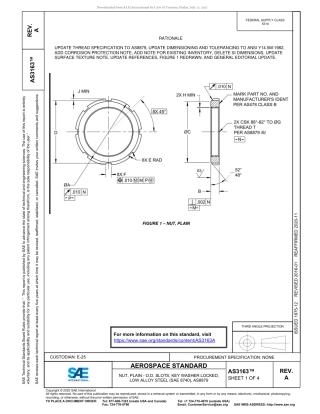 SAE AS3163A-2020.pdf
