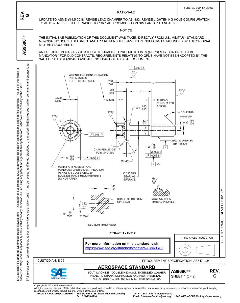 SAE AS9696G-2023.pdf_第1页