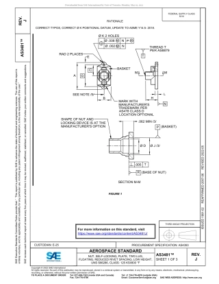SAE AS3481J-2022.pdf