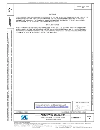 SAE AS25065B-2021.pdf