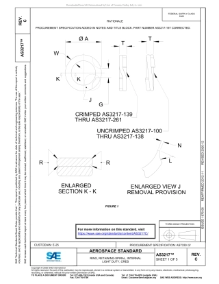 SAE AS3217C-2020.pdf