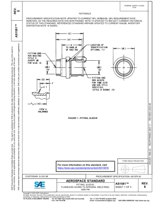 SAE AS1581E-2023.pdf