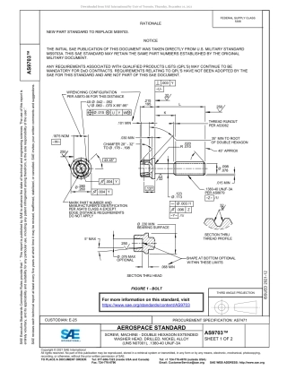 SAE AS9703-2021.pdf