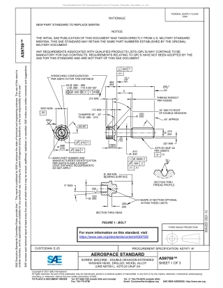 SAE AS9709-2021.pdf