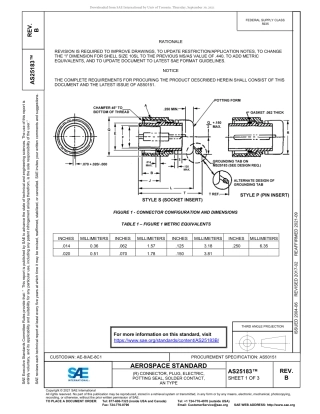 SAE AS25183B-2021.pdf