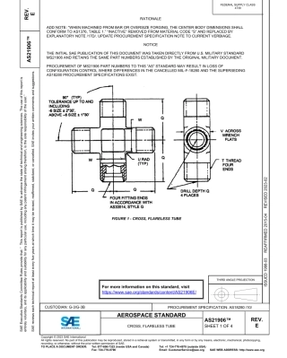 SAE AS21906E-2023.pdf