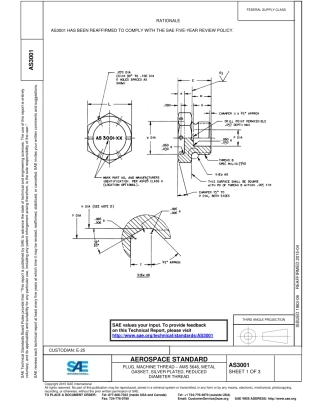 SAE AS3001-2015.pdf