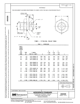 SAE AS4320-2007.pdf