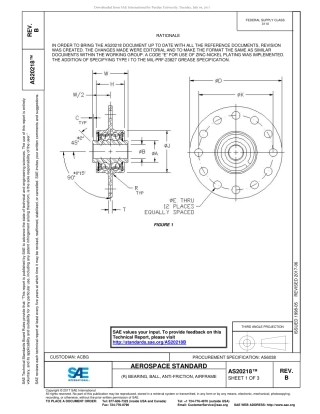 SAE AS20218B-2017.pdf
