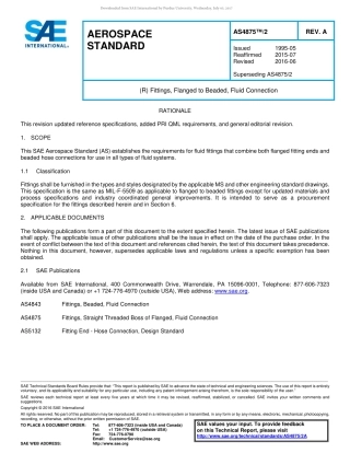 SAE AS4875-2A-2016.pdf