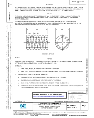 SAE AS24585E-2023.pdf